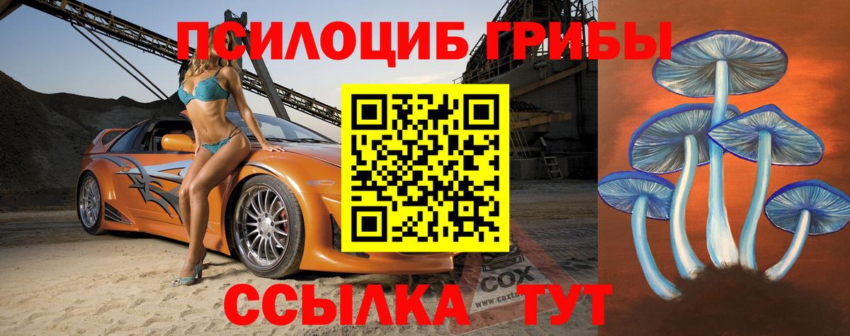 Псилоцибиновые грибы Psilocybe  Вход с VPN  Химки 