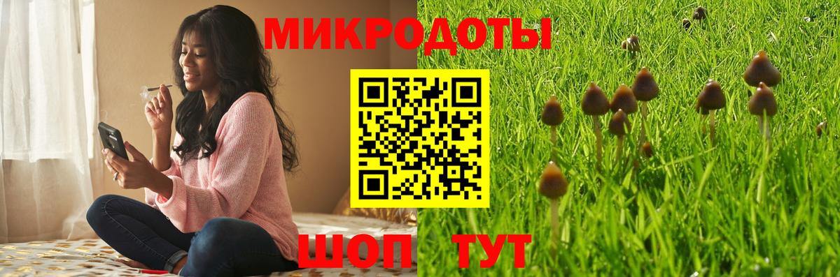Псилоцибиновые грибы GOLDEN TEACHER Химки