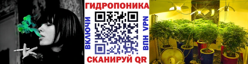 Канабис Bruce Banner  Химки 
